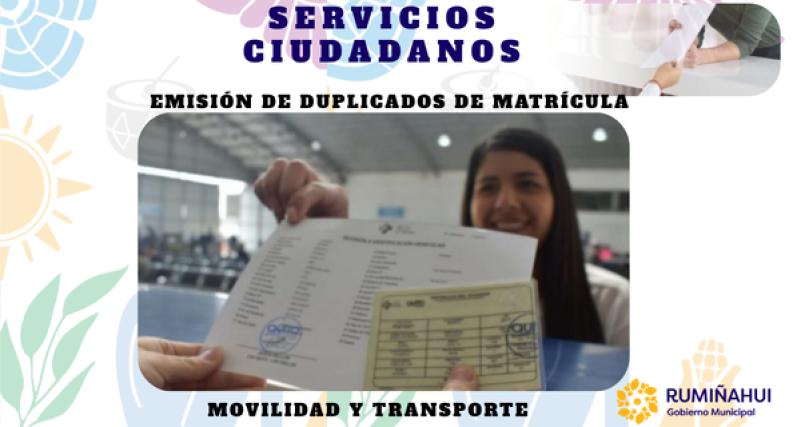 Dirección de Movilidad y Transporte
