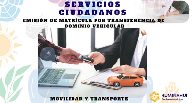 Dirección de Movilidad y Transporte