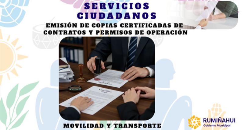 Dirección de Movilidad y Transporte