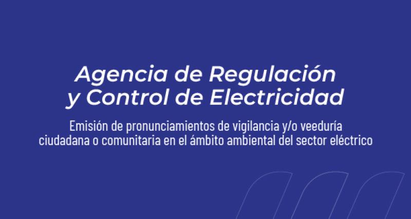 Emisión de pronunciamientos de vigilancia y/o veeduría ciudadana o comunitaria en el ámbito ambiental del Sector Eléctrico