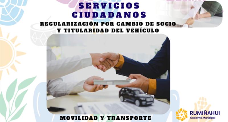 Dirección de Movilidad y Transporte