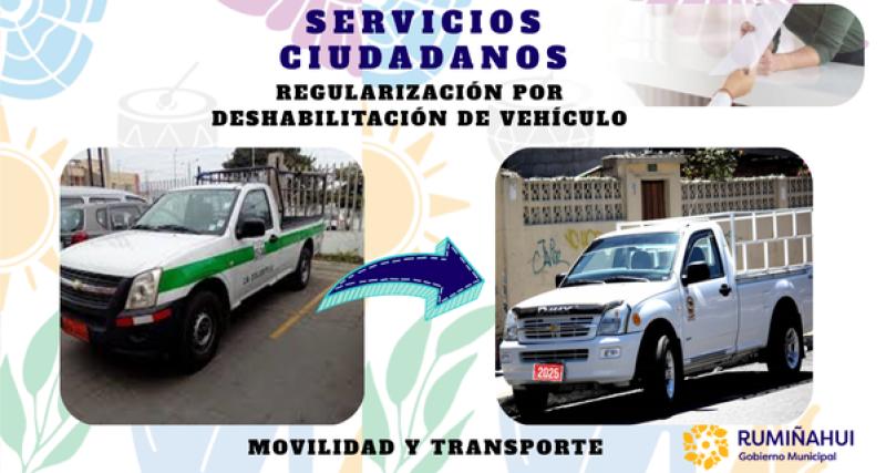 Dirección de Movilidad y Transporte