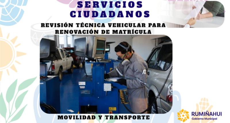 Dirección de Movilidad y Transporte