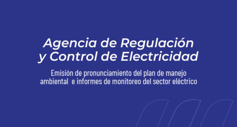Emisión de pronunciamiento del plan de manejo ambiental  e informes de monitoreo del sector eléctrico