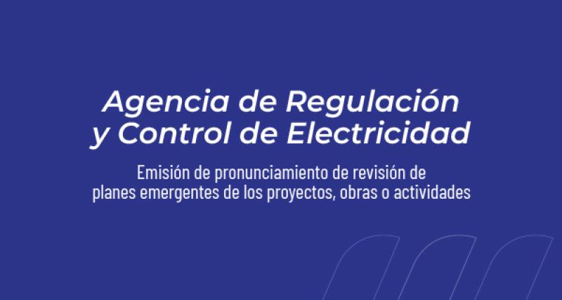Emisión de pronunciamiento de revisión de planes emergentes de los proyectos, obras o actividades