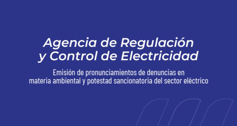 Emisión de Pronunciamientos de Denuncias en materia ambiental y potestad sancionatoria del sector eléctrico