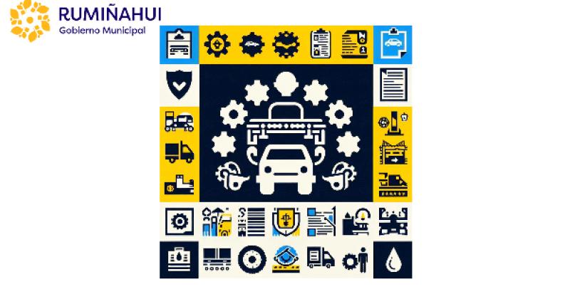 Dirección de Movilidad y Transporte
