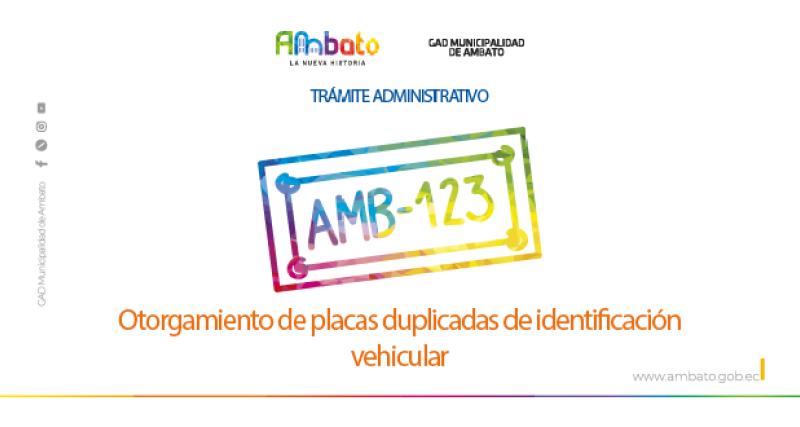 Placas duplicadas de identificación vehicular