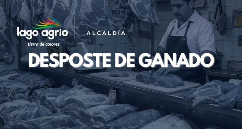 FAENAMIENTO DE GANADO MAYOR Y MENOR