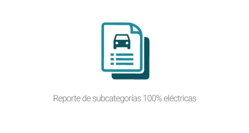 Reporte de subcategorías 100% eléctricas