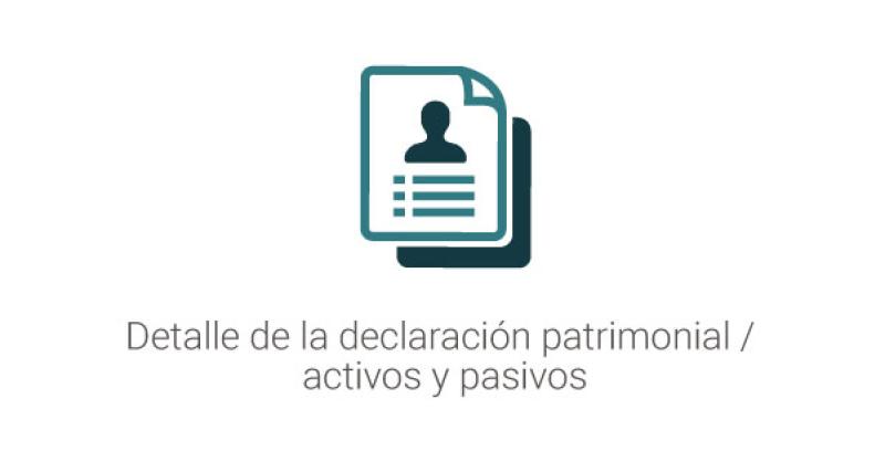 Detalle de la declaración patrimonial/ activos y pasivos