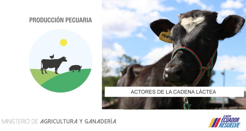 certificado actores cadela láctea transportista RUC