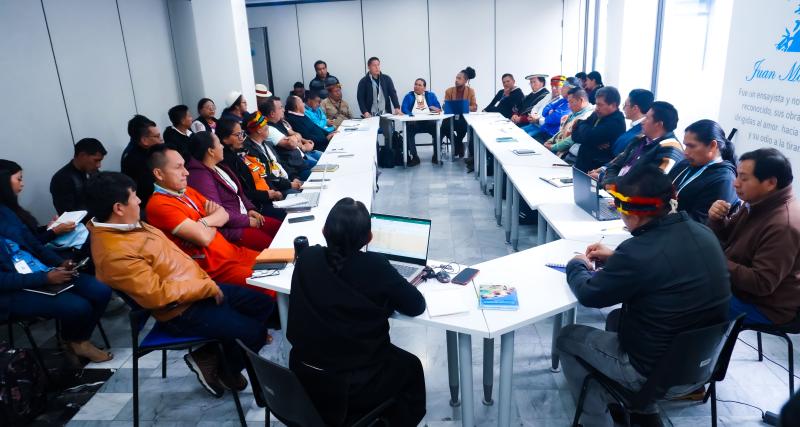 Coordinación de acompañamiento en la aplicación de los diseños curriculares y materiales educativos  con pertinencia cultural e idiomas ancestrales  de las nacionalidades indígenas del Sistema de Educación Intercultural Bilingüe y la Etnoeducación.