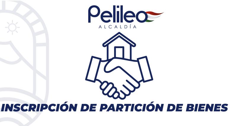 Inscripción de partición de bienes