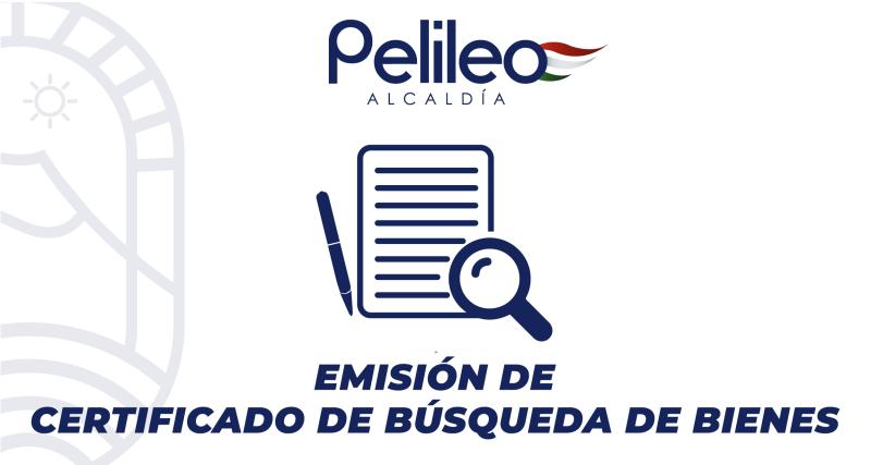 Emisión de certificado de búsqueda de bienes