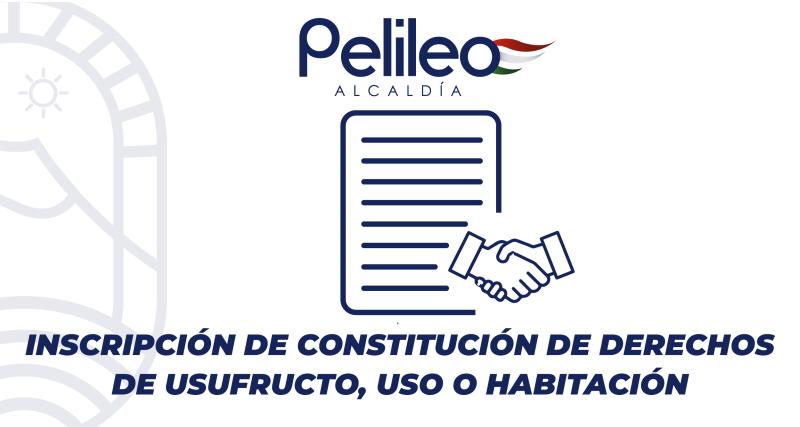 Inscripción de constitución de derechos de usufructo, uso o habitación