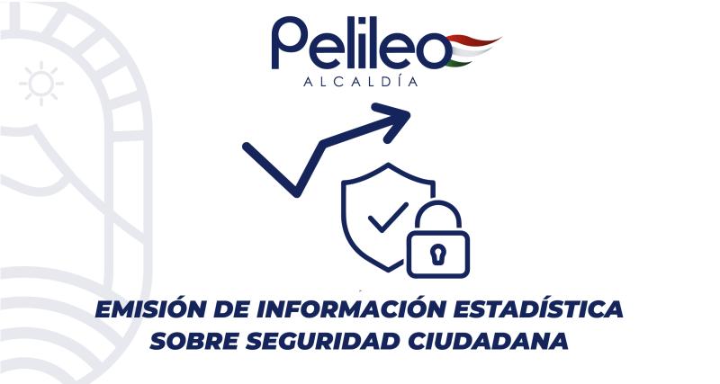 Emisión de información estadística sobre seguridad ciudadana