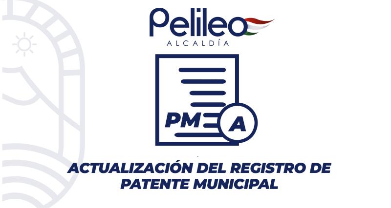 Actualización del registro de patente municipal
