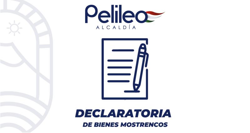 Declaratoria de bienes mostrencos