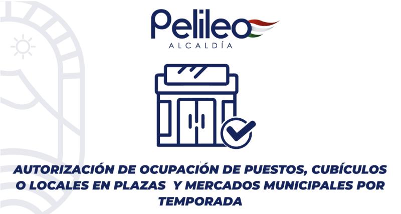 Autorización de ocupación de puestos, cubículos o locales en plazas y mercados municipales por temporada