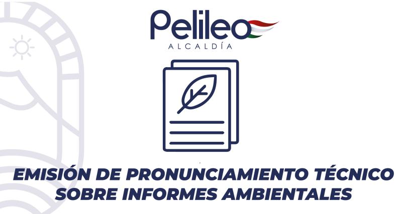 Emisión de pronunciamiento técnico sobre informes ambientales