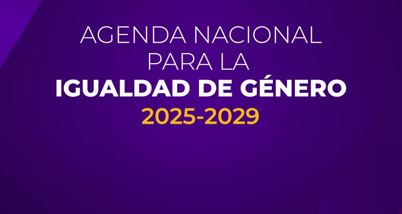AGENDA NACIONAL PARA LA IGUALDAD DE GÉNERO INSTRUMENTO TÉCNICO POLÍTICO QUE GUÍA LA PLANIFICACIÓN NACIONAL EN MATERIA DE GÉNERO