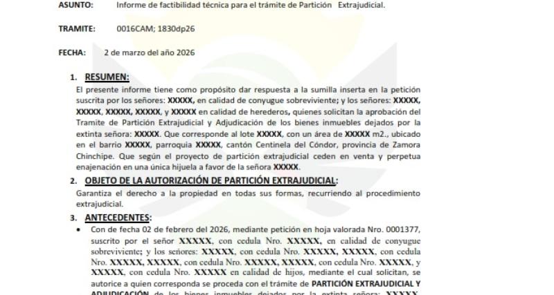 INFORME TECNICO