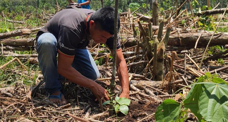 Recuperación de suelos degradados