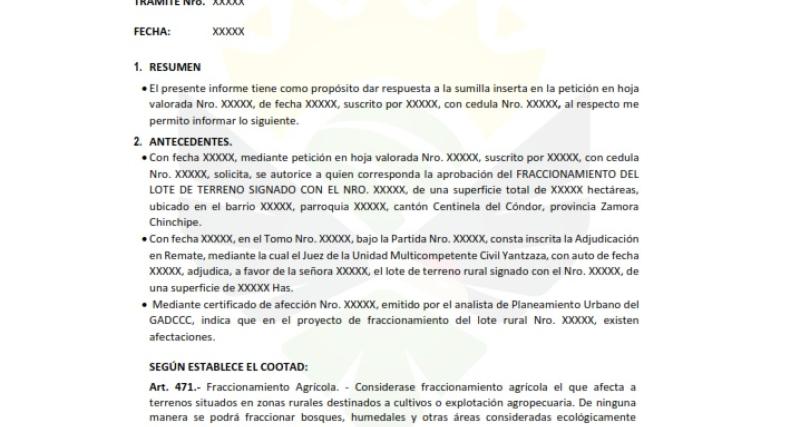 INFORME TECNICO