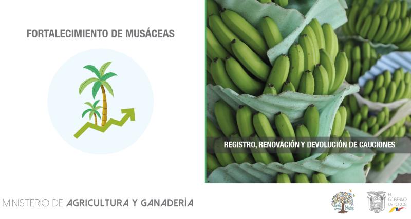 Registro de cauciones (Garantías y Pólizas)