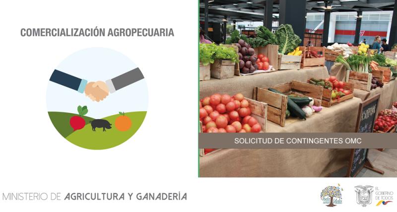 Licencia no automática de importación