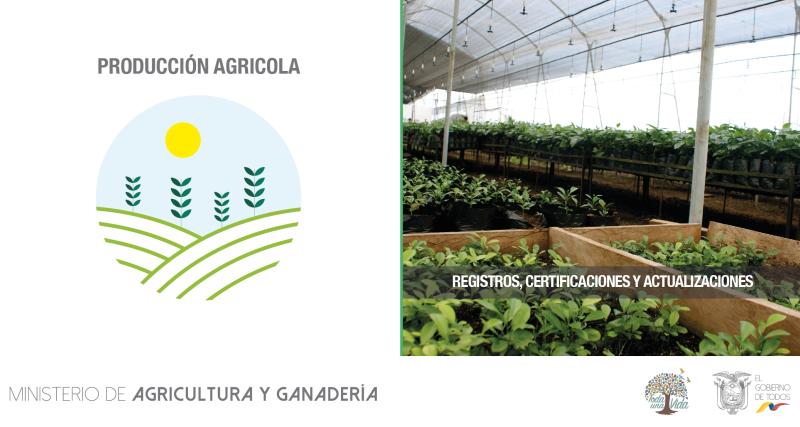 propagación vegetal