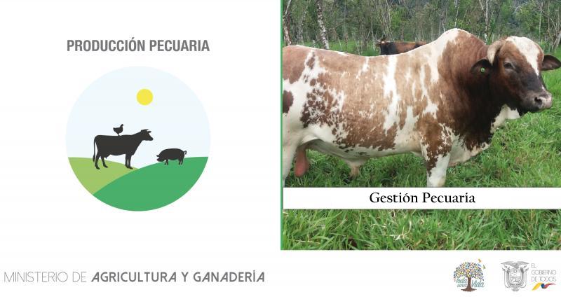 AUTORIZACIÓN  DEL FUNCIONAMIENTO DE CENTROS DE FAENAMIENTO PÚBLICOS, PRIVADOS Y DE LA ECONOMÍA POPULAR Y SOLIDARIA  