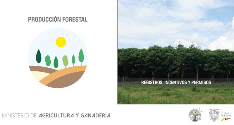 buenas practicas forestales