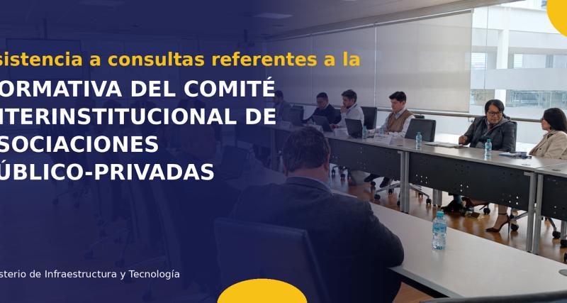 Asesoría referente al  Comité Interinstitucional de Asociaciones Público-Privadas