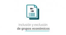 Inclusión y exclusión de grupos económicos
