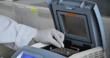 Análisis de muestra de Influenza H5N1 por PCR