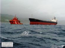Otorgamiento del uso de facilidades de acceso por las naves