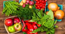 Acceso a mercados de productos agrícolas ecuatorianos