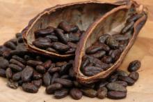 Almendras de cacao