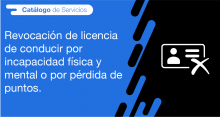 El usuario requirente puede solicitar en la ANT la revocación de licencia de conducir por incapacidad física y mental o por pérdida de puntos