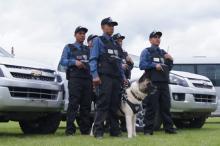 Companías de Seguridad