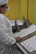 Trabajador del IGM revisando las tarjetas sintéticas