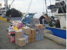 Operadores de servicios conexos