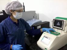 Diarrea epidémica porcina PCR convencional