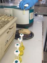 Control de calidad de fertilizantes