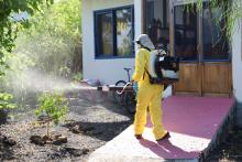 Fumigación de plagas es zonas urbanas