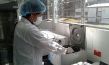 Diarrea Viral Bovina RT,PCR tiempo real