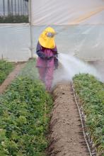 Solicitud de modificación del registro de plaguicida de uso agrícola.