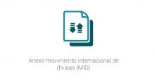 Anexo movimiento internacional de divisas (MID)